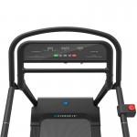 Lifespan Reformer 2 Safety Rehabilitation Treadmill