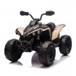 CAN-AM Renegade 24V ATV Electric Ride On - Grey