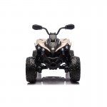 CAN-AM Renegade 24V ATV Electric Ride On - Grey