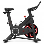 Lifespan SM-120 Magnetic Spin Bike