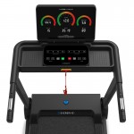Lifespan Pursuit Treadmill