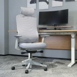 Lifespan DM8 Ergonomic Office Desk Chair (White/Grey)