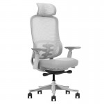 Lifespan DM8 Ergonomic Office Desk Chair (White/Grey)