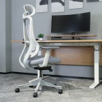 Lifespan DM8 Ergonomic Office Desk Chair (White/Grey)
