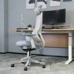 Lifespan DM8 Ergonomic Office Desk Chair (White/Grey)