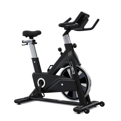 Lifespan SM-810 Commercial Magnetic Spin Bike