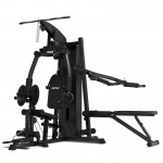 Lifespan Cortex SS4 Functional Home Gym + Chest & Squat Station