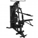 Lifespan Cortex SS4 Functional Home Gym + Chest & Squat Station