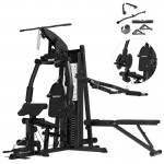 Lifespan Cortex SS4 Functional Home Gym + Chest & Squat Station