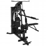 Lifespan Cortex SS4 Functional Home Gym + Chest & Squat Station