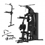 Lifespan Cortex SS4 Functional Home Gym + Power Tower Station Lifespan Cortex SS4 Functional Home Gym + Power Tower Station