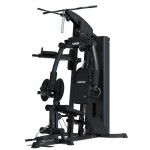 Lifespan Cortex SS4 Functional Home Gym + Power Tower Station Lifespan Cortex SS4 Functional Home Gym + Power Tower Station