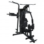 Lifespan Cortex SS4 Functional Home Gym + Power Tower Station Lifespan Cortex SS4 Functional Home Gym + Power Tower Station