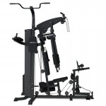 Lifespan Cortex SS4 Functional Home Gym + Power Tower Station Lifespan Cortex SS4 Functional Home Gym + Power Tower Station