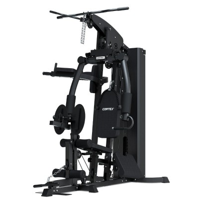 Lifespan Cortex SS4 Functional Home Gym + Power Tower Station