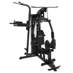 Lifespan Cortex SS4 Functional Home Gym + Power Tower Station Lifespan Cortex SS4 Functional Home Gym + Power Tower Station