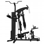 Lifespan Cortex SS4 Functional Home Gym + Power Tower Station Lifespan Cortex SS4 Functional Home Gym + Power Tower Station