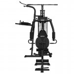 Lifespan Cortex SS4 Functional Home Gym + Power Tower Station Lifespan Cortex SS4 Functional Home Gym + Power Tower Station