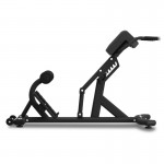 Lifespan CORTEX AB-12 Alpha Series Commercial Roman Chair Lifespan CORTEX AB-12 Alpha Series Commercial Roman Chair