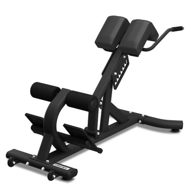 Lifespan CORTEX AB-12 Alpha Series Commercial Roman Chair