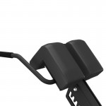 Lifespan CORTEX AB-12 Alpha Series Commercial Roman Chair Lifespan CORTEX AB-12 Alpha Series Commercial Roman Chair