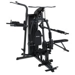 Lifespan Cortex SS4 Functional Home Gym Complete Multi Station