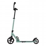 Globber Flow Rider 2 Wheel Foldable Scooter - Sage Globber Flow Rider 2 Wheel Foldable Scooter - Sage