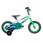 Neo+ 12 Boys 12" Bike - Brushed Alloy Neon Green/Navy Blue Fade Neo+ 12 Boys 12" Bike - Brushed Alloy Neon Green/Navy Blue Fade