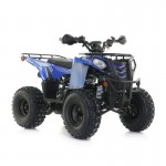 Apollo RFZ Commander 125cc Quad Bike - Blue Apollo RFZ Commander 125cc Quad Bike - Blue