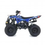 Apollo RFZ Commander 125cc Quad Bike - Blue Apollo RFZ Commander 125cc Quad Bike - Blue