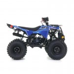 Apollo RFZ Commander 125cc Quad Bike - Blue Apollo RFZ Commander 125cc Quad Bike - Blue