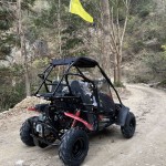 Crossfire Blazer 200R 200cc Go Kart - Red