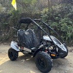 Crossfire Blazer 200R 200cc Go Kart - White Crossfire Blazer 200R 200cc Go Kart - White