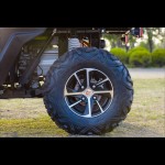 Crossfire E10 Electric UTV EPS - White