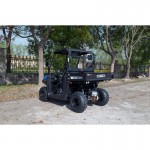 Crossfire 200GT Farm UTV - Blue