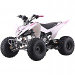 Crossfire Rover 125 125cc Sports Quad Bike - Pink