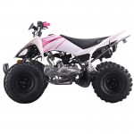 Crossfire Rover 125 125cc Sports Quad Bike - Pink