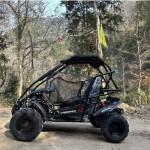Crossfire Blazer 200R 200cc Go Kart - Black
