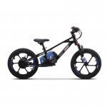 DHZ 16" 800W Electric Balance Bike
