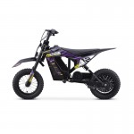 DHZ 420W Electric Kids Mini Dirt Bike 3-Speed Control