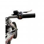 DHZ 2200E 2200W Electric Dirt Bike