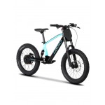 DHZ 20" 750W Electric Balance Bike DHZ 20" 750W Electric Balance Bike