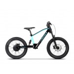 DHZ 20" 750W Electric Balance Bike DHZ 20" 750W Electric Balance Bike