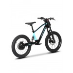 DHZ 20" 750W Electric Balance Bike DHZ 20" 750W Electric Balance Bike
