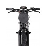DHZ 20" 750W Electric Balance Bike DHZ 20" 750W Electric Balance Bike