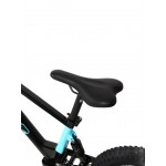 DHZ 20" 750W Electric Balance Bike DHZ 20" 750W Electric Balance Bike