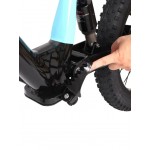 DHZ 20" 750W Electric Balance Bike DHZ 20" 750W Electric Balance Bike