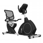 Lifespan New RC-300 Recumbent Bike Lifespan New RC-300 Recumbent Bike