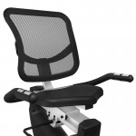 Lifespan New RC-300 Recumbent Bike Lifespan New RC-300 Recumbent Bike