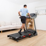 Lifespan Torque 4 Treadmill Lifespan Torque 4 Treadmill